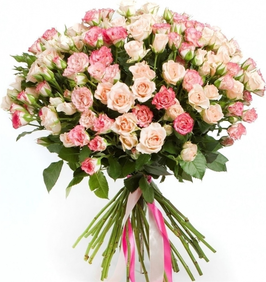 Кустовые розы Микс № 4